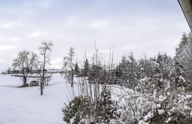 Kleine Winten - Foto 22