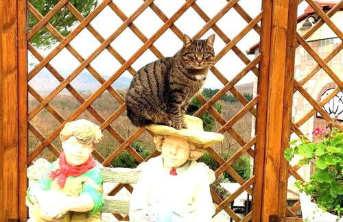 La Fabbrichina - Foto 37