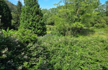 Corias Casona junto al Narcea - Foto 21