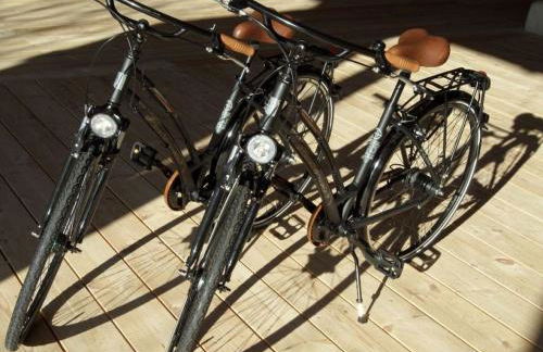 Rosenhagen in the Thorstorf estate barn - Foto 28