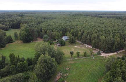 Agroturystyka PLENER - Foto 10