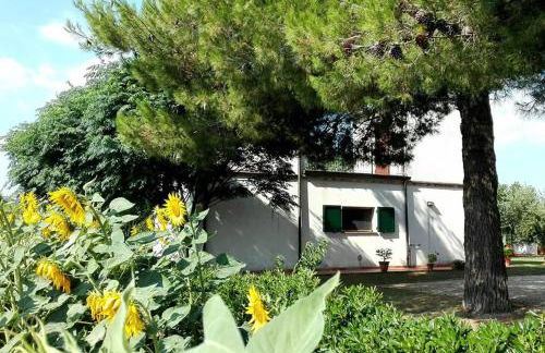 Silos Torrenova - Foto 1