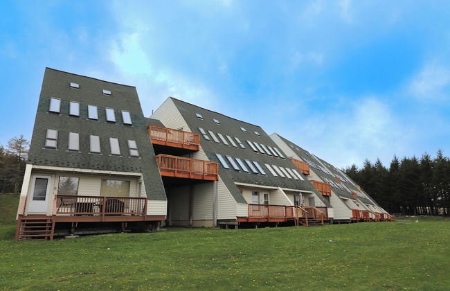 Leatherbark - Foto 12