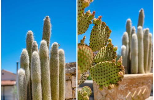 Takis House in Katavolos - Foto 50