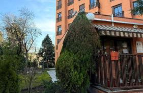 House Samaniego 12 - Photo 15