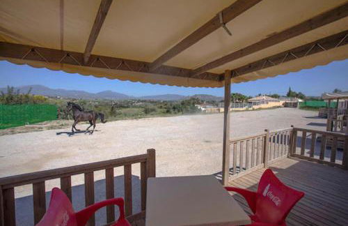 Bungalows-Cortijo Da Luigi-4 adultos-2 Dormitorios-Piscina-Ideal familias-Cártama-Málaga - Foto 25