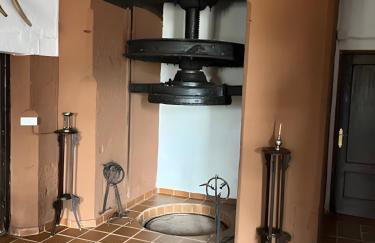 Molino Los Cardenes 1911 - Foto 39