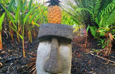 Unique Lava House by steaming crater - Photo 58