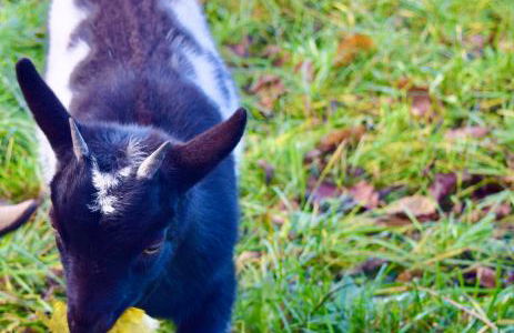 Bed and Bike Rheine - Foto 19