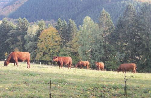 Urlaub auf dem Bauernhof - Foto 1
