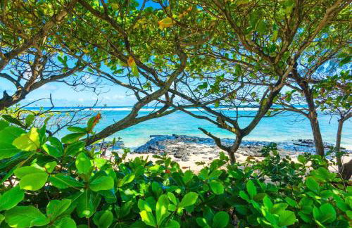 Anini Ohana Hale TVNC#4255 - Foto 18