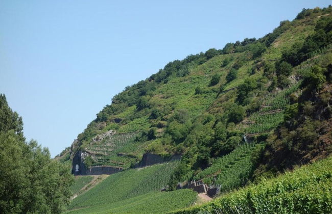 Geraumiges Ferienhaus in Hessen mit Garten - Foto 32