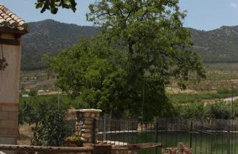 Cortijo la Noria II - Foto 15