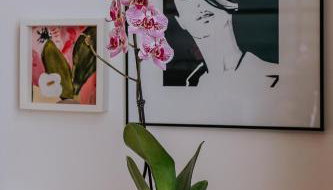 Endless Chanson - Foto 4