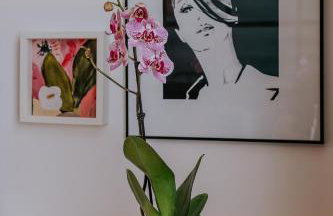 Endless Chanson - Foto 4