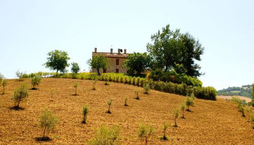 Il Casale di Giovanna - Foto 3