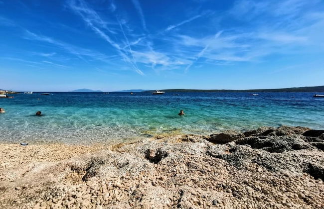 Dino - Gorgeous Garden - SA1 Zavala - Photo 27