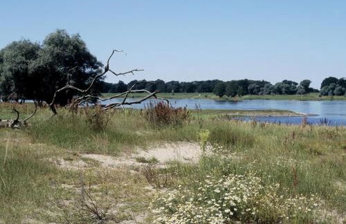 Deelenwohnung - Foto 30