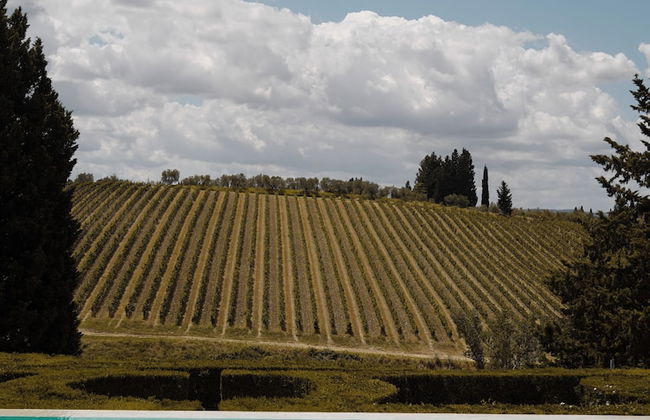 Casa Ruffino - Foto 13