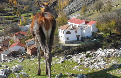 Casa Rural El Perchel - Foto 23