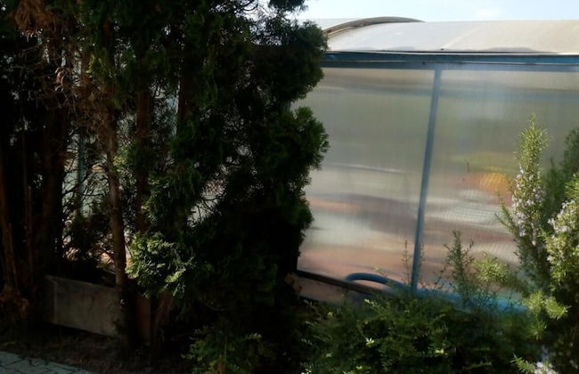 Monika apartman - Foto 13