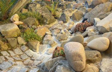 Ferienwohnung Gaßmann - Foto 11