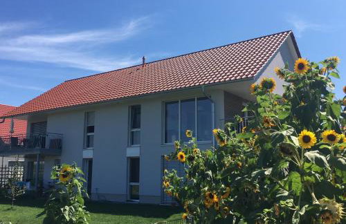 Ferienwohnen im Ziegelfeld - Foto 5