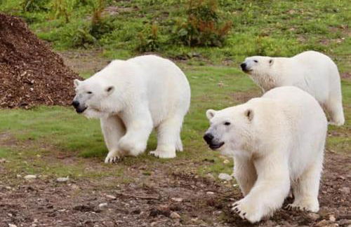 Barn-Sleeps 4-Parking-Near Alton Towers Peak Dist - Foto 29