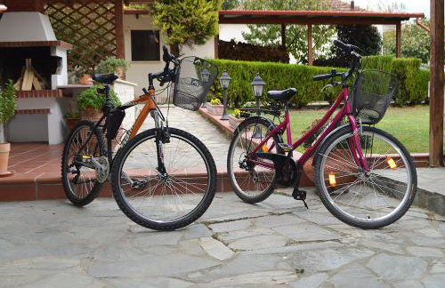 "The plane trees" - Foto 40