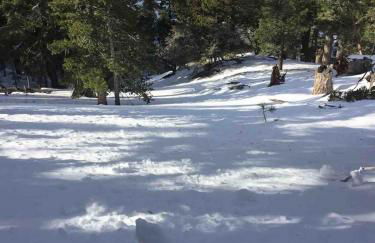 Spacious cozy chalet huge deck over seasonal creek - Foto 80