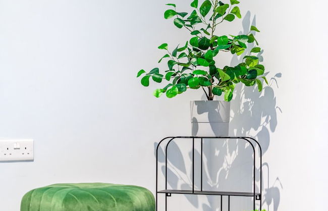 Pontcanna Jewel Cardiff city centre - Foto 24