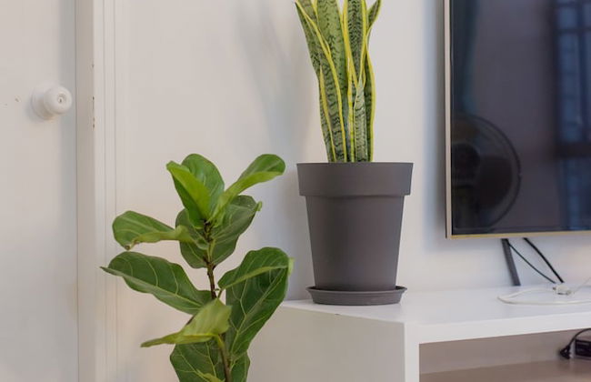 Shezhen Duwel Service Apartment Luohu - Photo 69