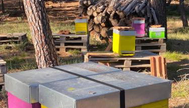 Tiny-House Grand Confort - Salle de bain italienne - Lit King - 10 min A7 - Foto 5