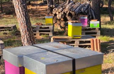 Tiny-House Grand Confort - Salle de bain italienne - Lit King - 10 min A7 - Foto 5