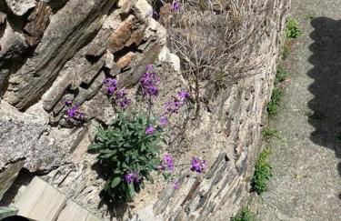 Appartement de Charme dans un Ancien Mas Cévenol piscine et jacuzzi - Foto 48