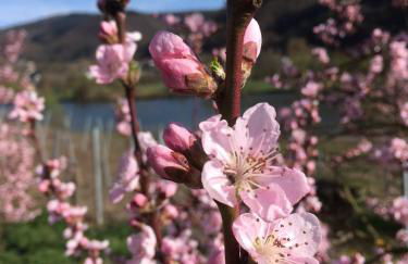 Ferienhaus Moritz - Foto 19
