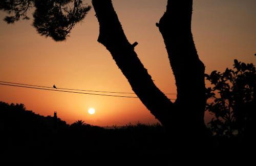 Prinsotel La Caleta - Foto 69