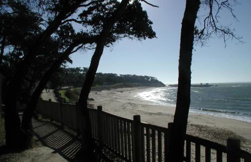 Studio Dunes aux Ecureuils - Foto 23