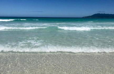 Beach Side - Praia do Forte 100 m - Foto 42