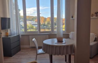 Studio face au lac - Foto 1