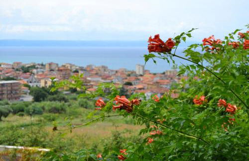 Residence La Giungla - Foto 18