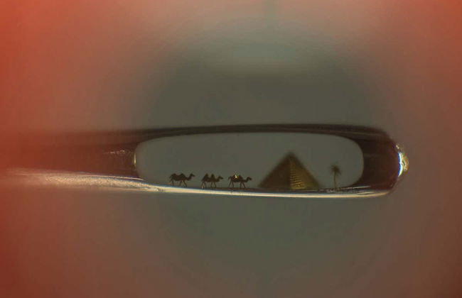 Tour por el valle de Ordino - Foto 2