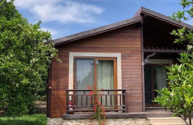 Villa Bilge - Foto 41