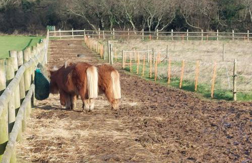 Gateway to Cornwall - Foto 4