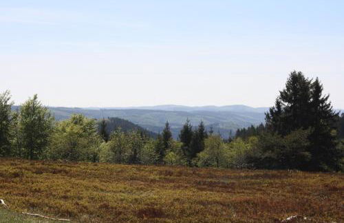 Ferienwohnung Zum Heideblick - Photo 34