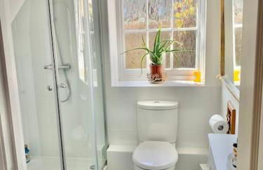 Large historic family home nr Longleat and Bath - Foto 42