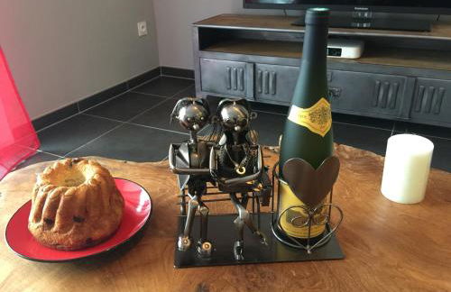 Le Riesling Colmar centre Charmant appartement avec terrasse et parking gratuit - Foto 9