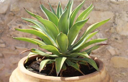 Tholos by Praxithea Stone House & Pool - Foto 35