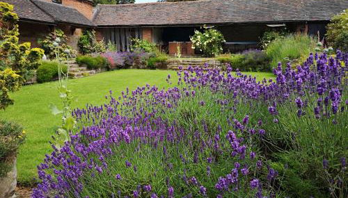 Lupin Cottage at Boningale Manor - Foto 5, Garden, Garden view