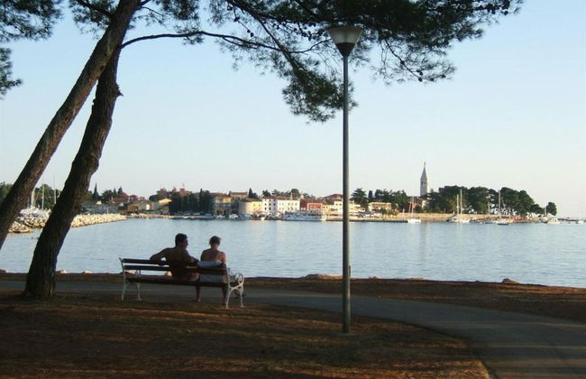 Holiday House in Novigrad With Pool - Foto 26